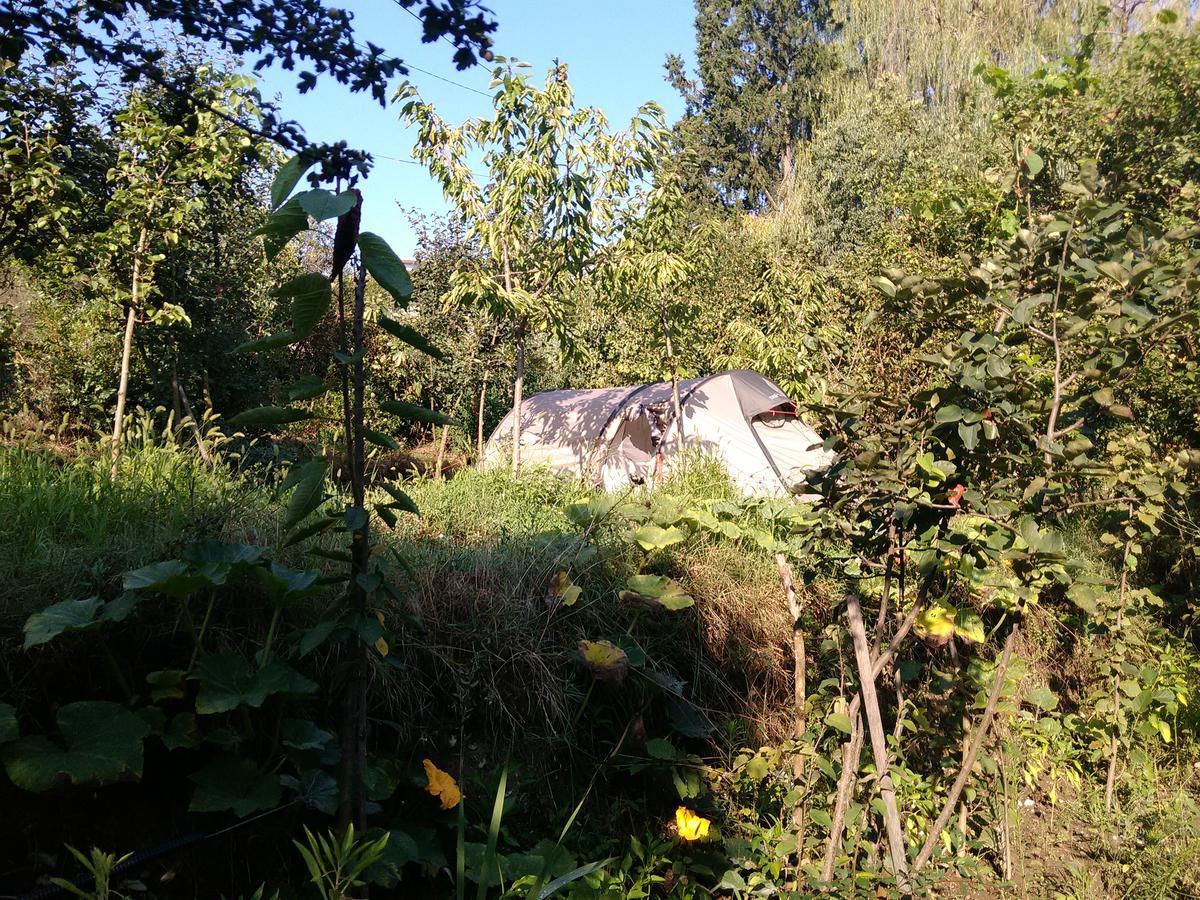 Camping Late Gjirokastër 외부 사진