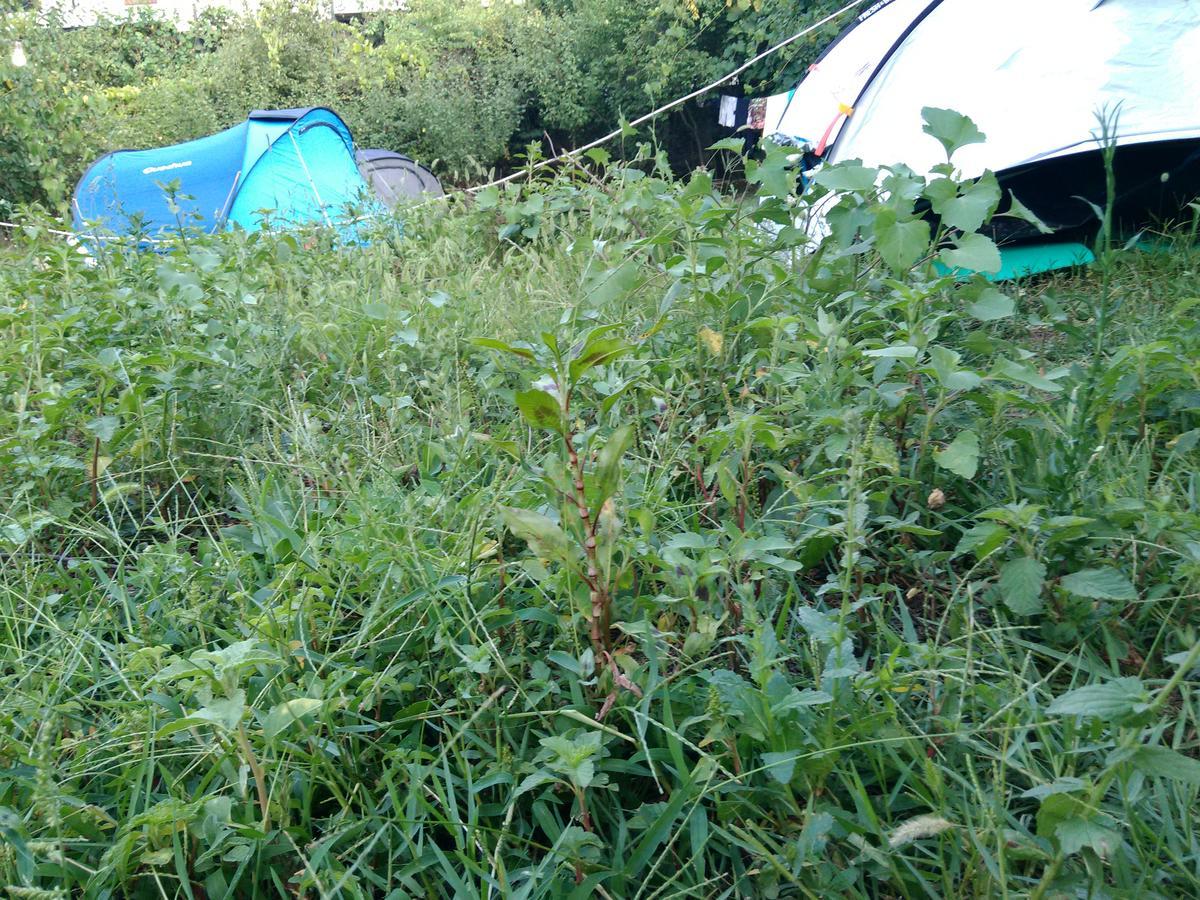 Camping Late Gjirokastër 외부 사진